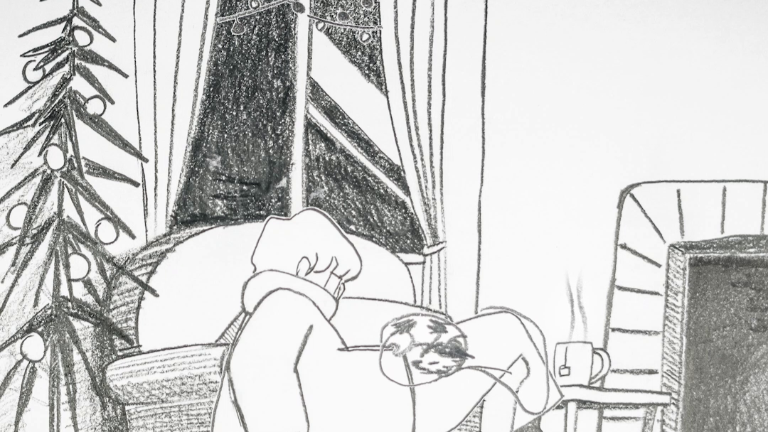 vlcsnap 2026 01 15 11h16m57s738